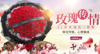 山东济宁汶上县康驿镇范街村鲜花速递